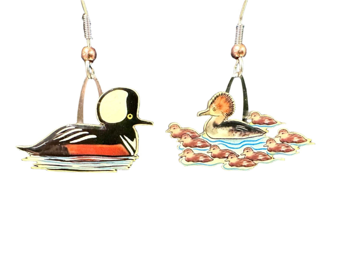  Hooded Merganser Earrings