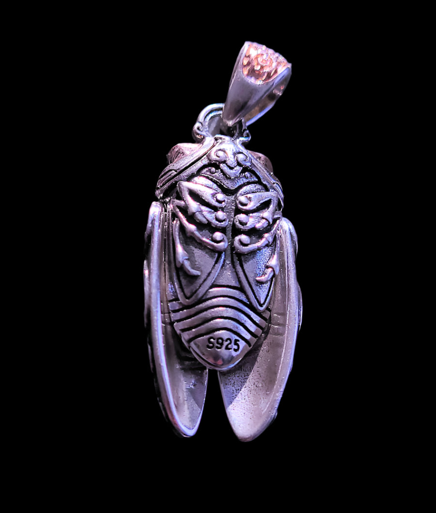 Unusual cicada Necklace