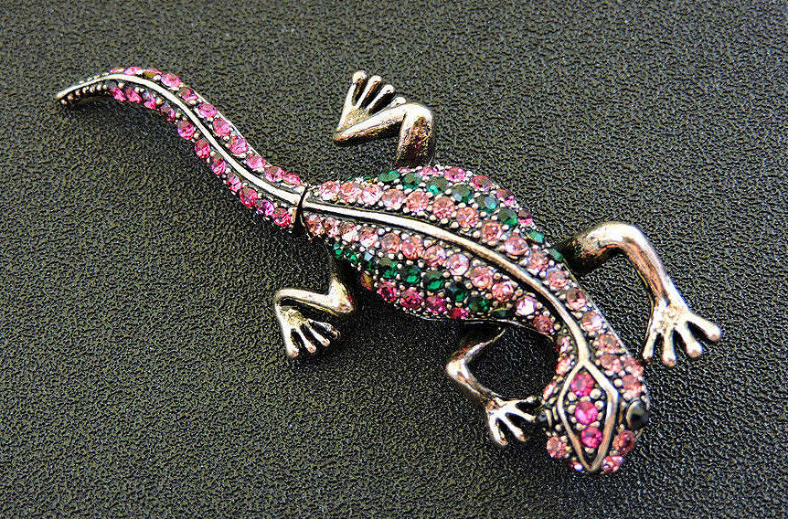 Pin on Leopard gecko